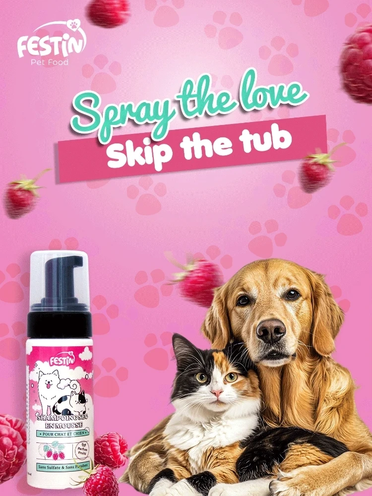 ✨ Shampoing Sec en Mousse FESTIN 150ml – Bain Express Sans Rinçage