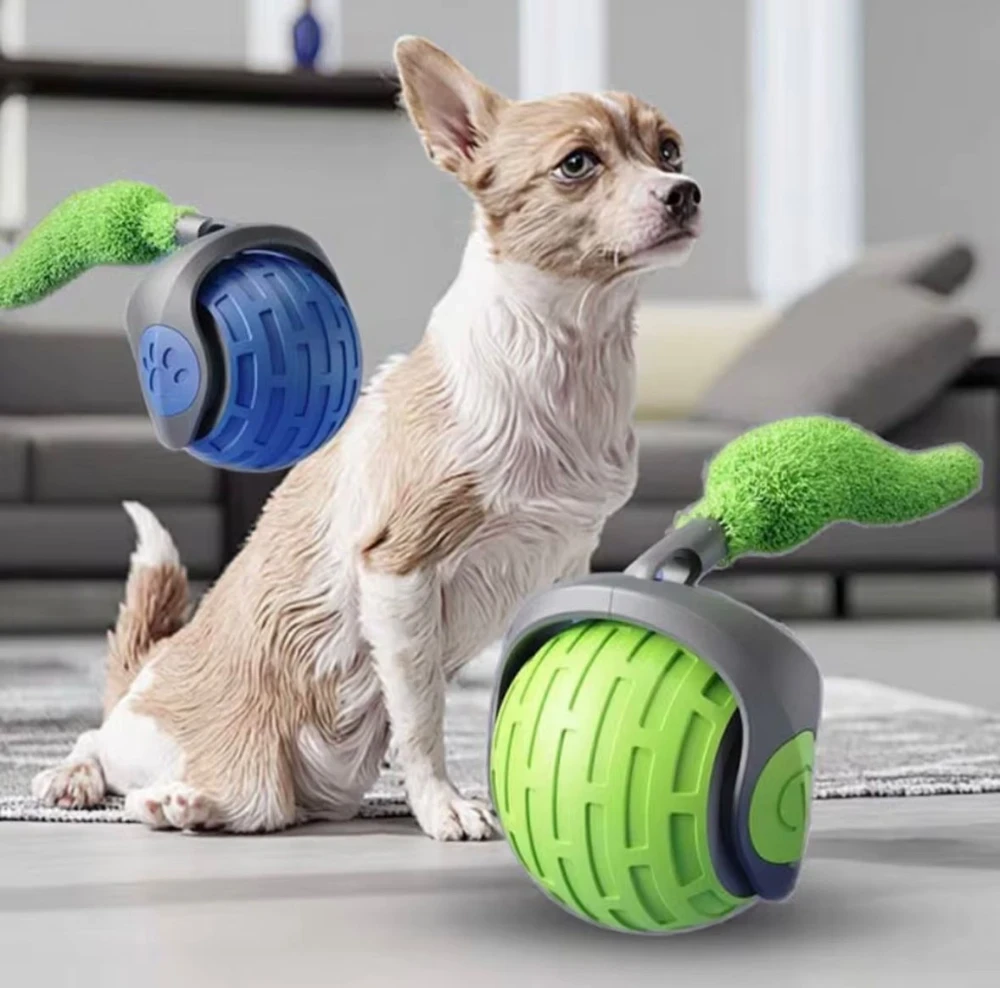 Balle Magique pour Chat – Fun Sans Fin