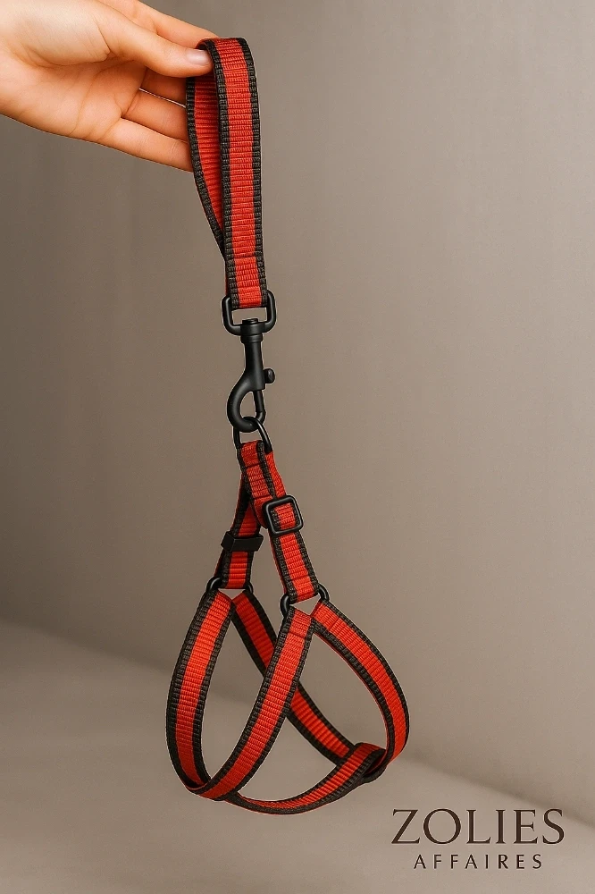 Harnais – Pour chiens qui brillent !