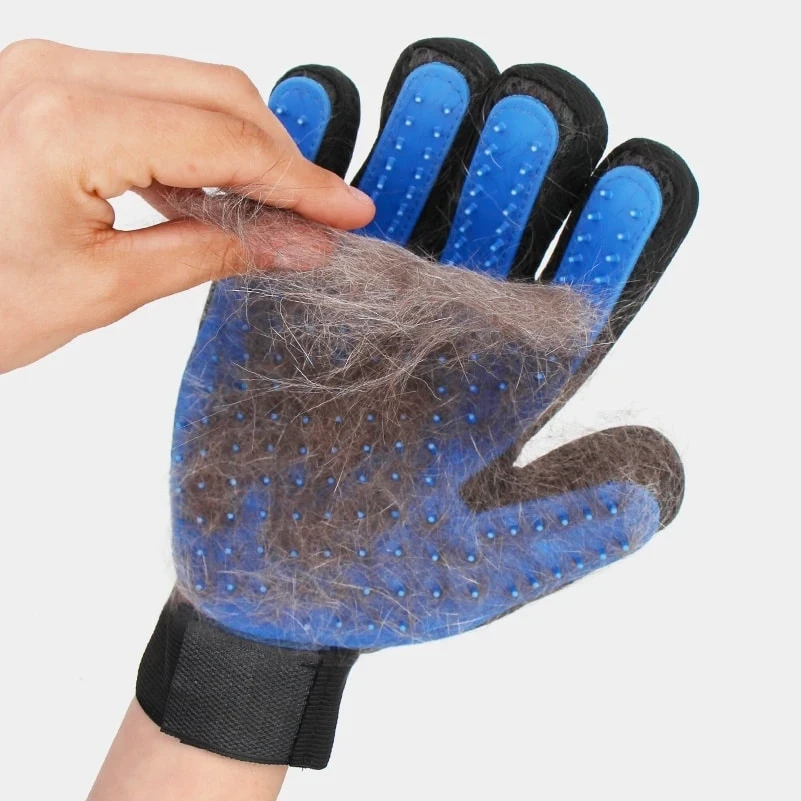 Gant de toilettage pour chien et chat