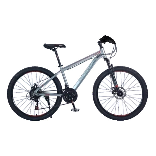 BICYCLETTE ENFANT JAD59-5 24'' AVEC DEUX ROUES STABILISATRICE ARGENT