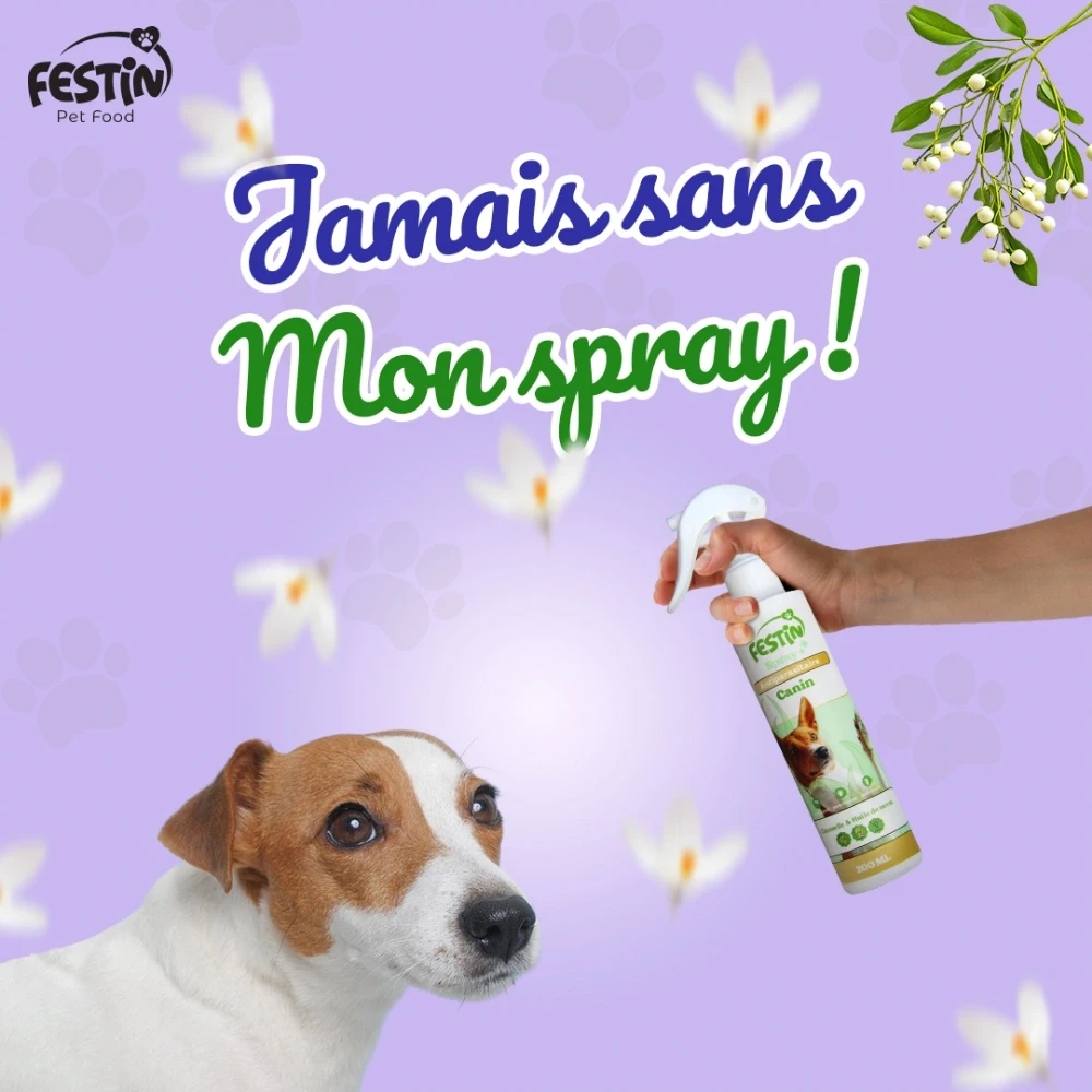 Festin - SPRAY ANTIPARASITAIRE CHIEN 200ml