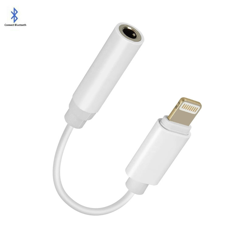 Adaptateur Lightning iPhone Vers Jack 3.5