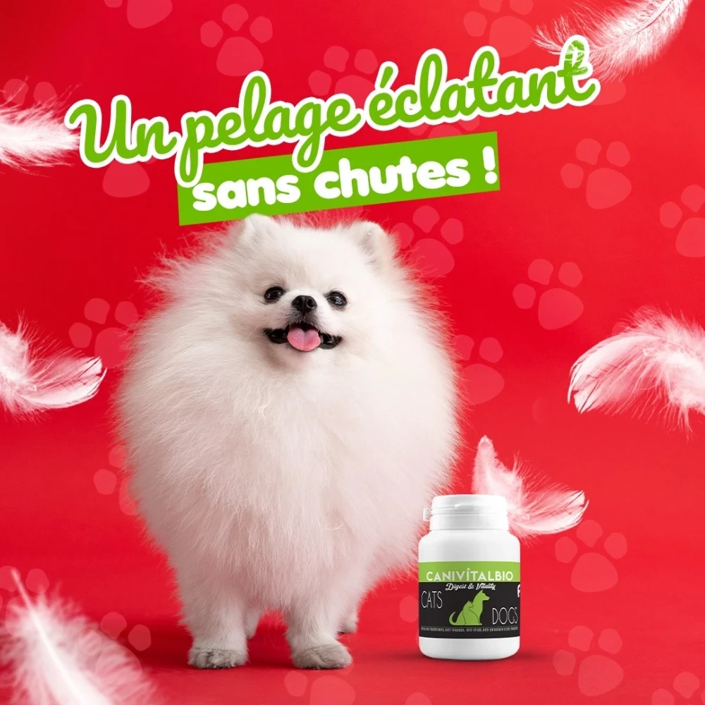 Fortican Pelage – Complément Naturel Spiruline & Ulve pour Chats & Chiens