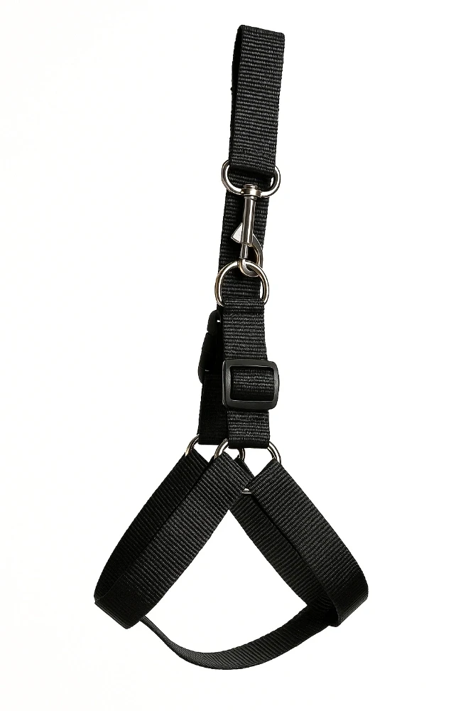 Harnais Avec Laisse 120 cm pour chien